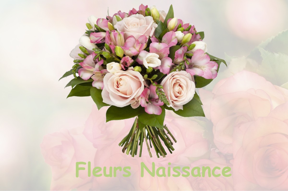 fleurs naissance BEYRIE-SUR-JOYEUSE